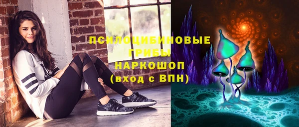 прущие грибы Волгодонск