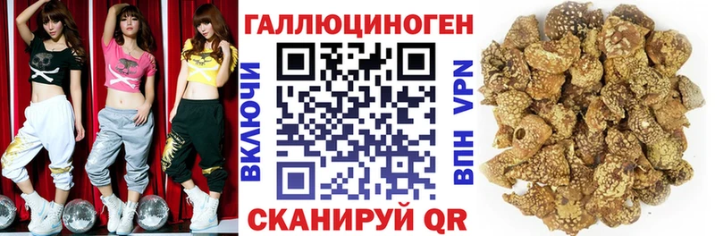 Купить  Урюпинск  Галлюциногенные грибы GOLDEN TEACHER 