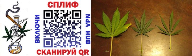 Бошки Шишки планчик  Купить  Урюпинск